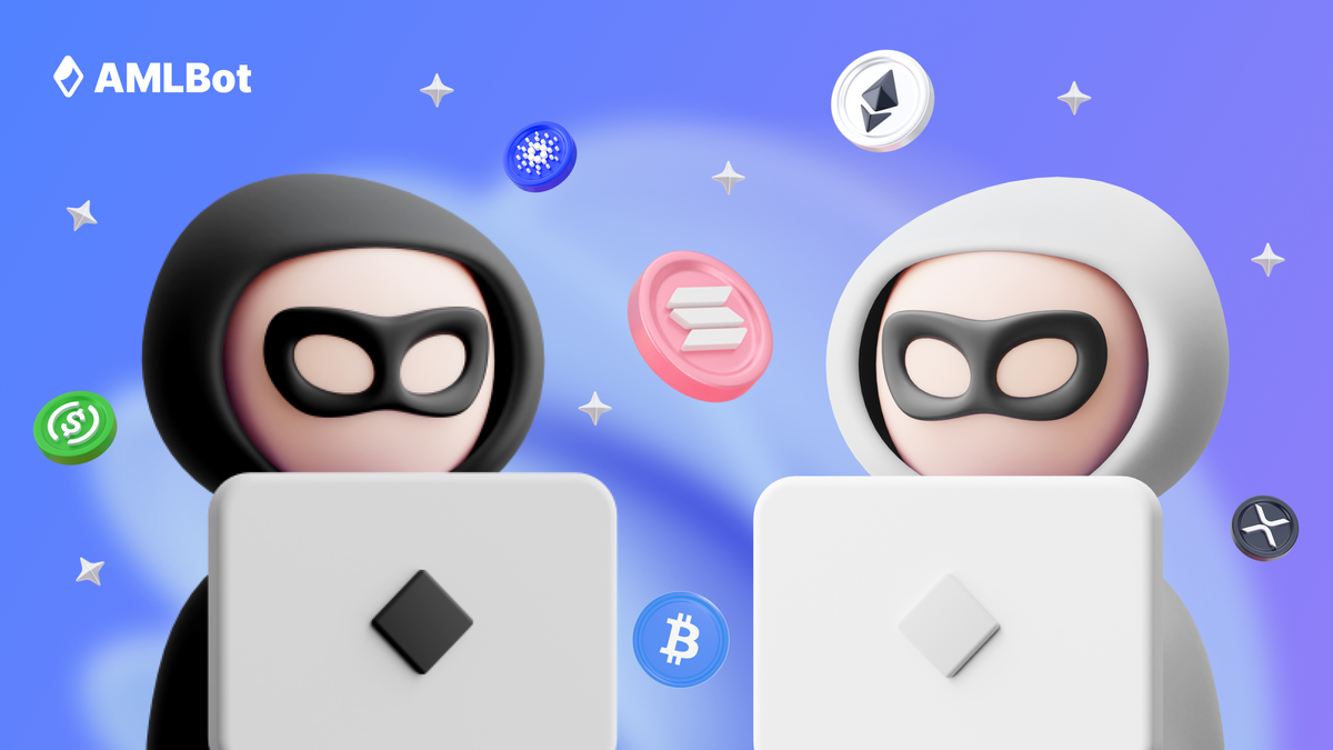 White Hat Hackers Who Are They I Amlbot White Hat Hackers Who Are They I Amlbot